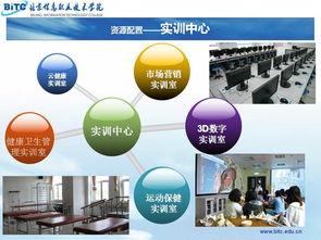 北京信息职业技术学院招生网信息技术咨询服务指南